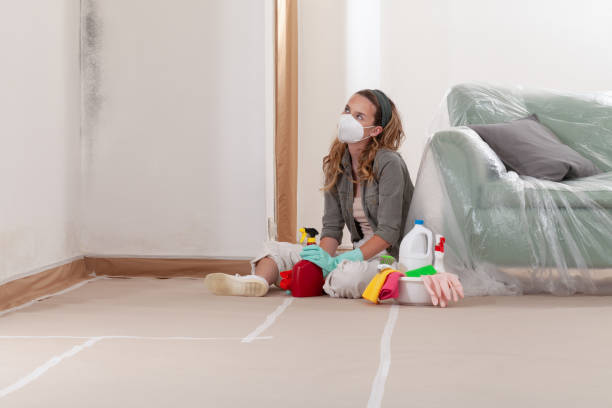 Reliable Basement Mold Remediation contractor in Collingswood, NJ by WQB Mold Removal
